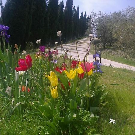 Residence Ai Campi Da Golf Saturnia Exterior photo