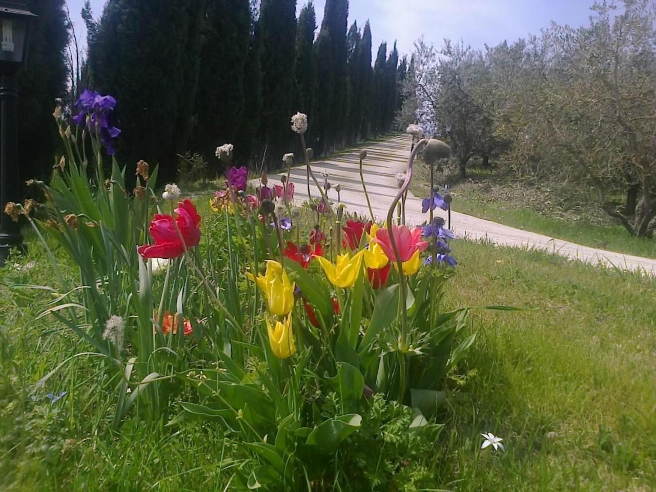 Residence Ai Campi Da Golf Saturnia Exterior photo