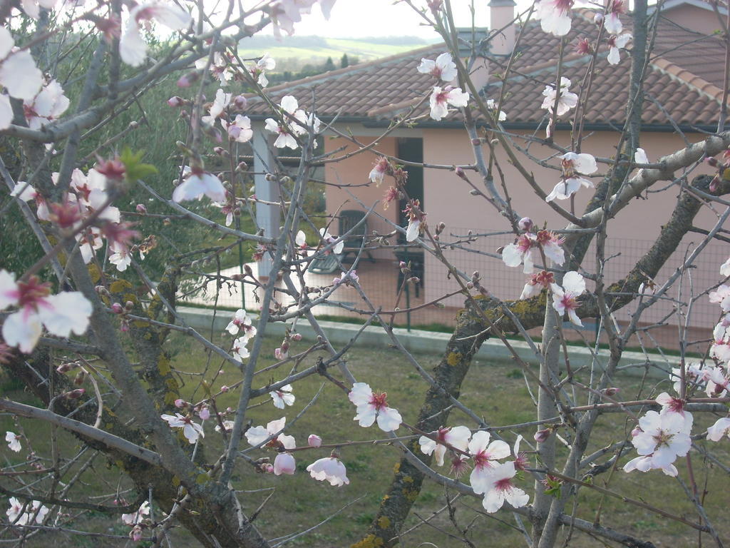 Residence Ai Campi Da Golf Saturnia Exterior photo