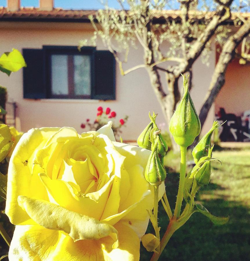 Residence Ai Campi Da Golf Saturnia Exterior photo